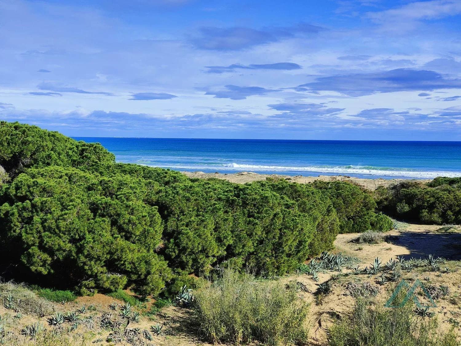 Apartmán 2 spálne len 150 m od pláže La Mata – terasa, bazén, tichá lokalita, Torrevieja, Španielsko - foto 19